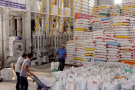 Đẩy mạnh hoạt động xuất khẩu gạo tại thị trường truyền thống