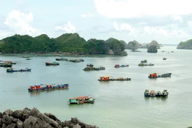 Lễ hội hoa phượng đỏ sẽ có nhiều hoạt động đặc sắc