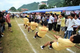 Trình Thủ tướng cho phép làm thủ tục hai hồ sơ di sản