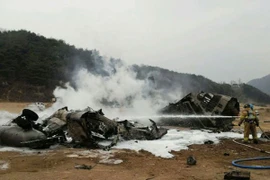 5 binh sỹ NATO thiệt mạng vì rơi máy bay ở Afghanistan 