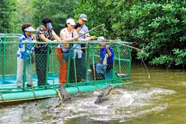 Cần Thơ phát triển mô hình nuôi cá sấu kết hợp với du lịch