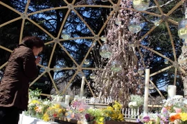 Hòa nhạc tưởng niệm nạn nhân thảm họa kép ở Nhật