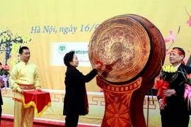 Phó Chủ tịch nước đánh trống khai mạc Lễ hội Xuân hồng