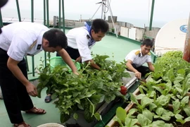 Chiến sỹ Nhà giàn DK1 vững vàng nơi đầu sóng ngọn gió