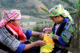 Tây Nguyên ổn định đời sống đồng bào di cư ngoài kế hoạch