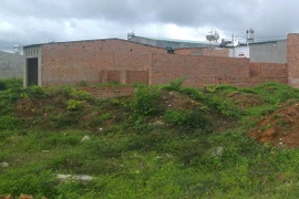 Ảnh minh họa. (Nguồn: TTXVN)