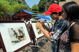 Khách xem triển lãm tại Liên hoan ảnh nghệ thuật khu vực đồng bằng sông Hồng năm 2013. (Nguồn: TTXVN)