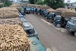 (Ảnh minh họa: Thanh Long/TTXVN)