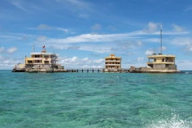 Các văn nghệ sỹ bày tỏ tình cảm với biển đảo Tổ quốc