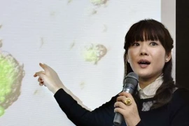 Không có bằng chứng cho sự tồn tại của tế bào gốc STAP