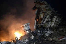 Lãnh đạo Việt Nam chia buồn về việc máy bay MH17 bị rơi