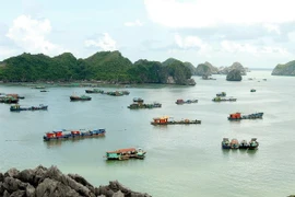 Thành phố Hải Phòng phát huy thế mạnh về du lịch biển