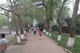 Bắc Bộ và Trung Bộ trời khô ráo, Nam Bộ sẽ có mưa to 