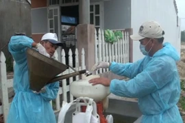 Hội nghị quốc tế "Hướng tới loại trừ sốt xuất huyết"