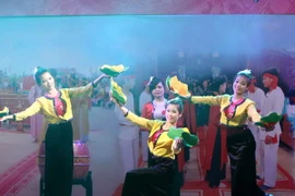 Biểu diễn dân ca. (Ảnh minh họa. Nguồn: TTXVN)