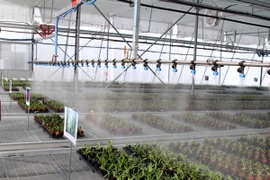Khánh thành nhà kính, nhà lưới hiện đại nhất miền Nam