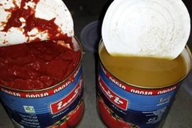 Ma túy được giấu trong các hộp cà chua (Nguồn: Hải quan Hà Lan)