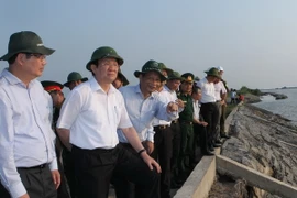 Chủ tịch nước khảo sát đê biển ở vùng đất cực Nam