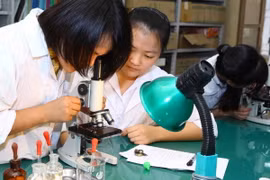 Giờ thực hành của học sinh. (Ảnh minh họa: Quý Trung/TTXVN)