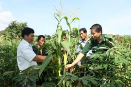 Thắm đượm nghĩa tình bản vùng cao biên giới Việt-Lào 