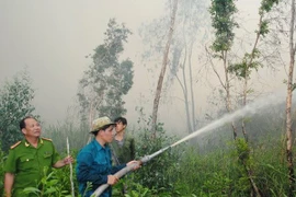 Nghệ An: Hai vụ cháy rừng liên tiếp tại Nam Đàn trong ba ngày