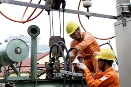 (Ảnh minh họa: Ngọc Hà/TTXVN)