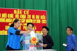 Cử tri dân tộc bỏ phiếu bầu cử tại khu vực bỏ phiếu số 4, xã Trường Hà, huyện Hà Quảng, tỉnh Cao Bằng. (Ảnh: Quốc Đạt/TTXVN)