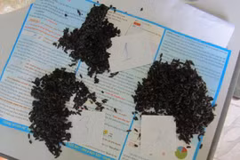 Thực hư về thông tin gạo lạ chuyển màu đen ở Quảng Trị 