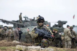 Binh sỹ các nước tham gia cuộc tập trận ở Rukla, Litva ngày 22/10. (Nguồn: THX/TTXVN)