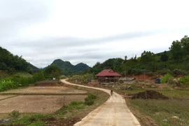 (Ảnh minh họa: Lê Hữu Quyết/TTXVN)