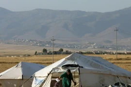 Trại tị nạn dành cho người Hồi giáo dòng Shiite thuộc bộ tộc nói tiếng Turkic tại Tal Afar. (Nguồn: AFP/TTXVN)