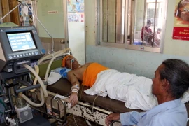 Các bệnh nhân bị ngộ độc nặng khí biogas được chăm sóc, điều trị tích cực tại Bệnh viện đa khoa khu vực Cái Nước. (Ảnh: Kim Há/TTXVN)