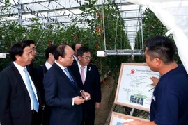 Thủ tướng Nguyễn Xuân Phúc đến thăm nông trại Yokoyama. (Ảnh: Thống Nhất/TTXVN)