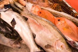 Ảnh minh họa. (Nguồn: THX/TTXVN)