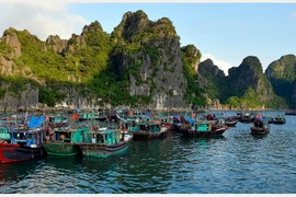 Thuyền về bến cá trên Vịnh Hạ Long. (Ảnh: Thanh Hà/TTXVN)
