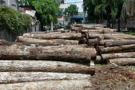 Ảnh chỉ có tính minh họa. (Ảnh: Thanh Tân/TTXVN)