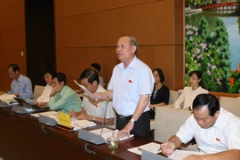 Đại biểu Quốc hội phát biểu ý kiến tại Hội nghị đaiụ biểu Quốc hội chuyên trách. (Ảnh: Phạm Kiên/TTXVN)