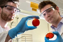 Hai nhà khoa học tìm ra phương pháp mới Max Worthington và Justin Chalker. (Nguồn: Daily News)