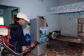 Phun thuốc diệt muỗi tại khu dân cư. (Ảnh: Trần Lê Lâm/TTXVN)