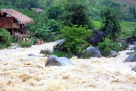 Ảnh chỉ có tính minh họa. (Nguồn: TTXVN)