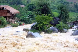 Ảnh chỉ có tính minh họa. (Nguồn: TTXVN)