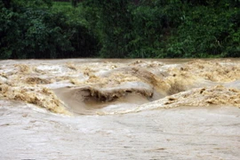 Ảnh chỉ có tính minh họa. (Ảnh: Tạ Văn Toàn/TTXVN)