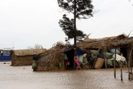 Giáo dục đóng vai trò quan trọng trong bảo vệ môi trường