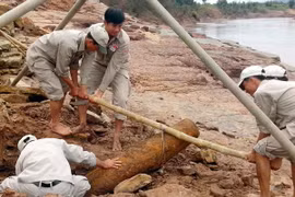 Những mầm xanh hy vọng trên “vùng đất chết” Tân Hiệp
