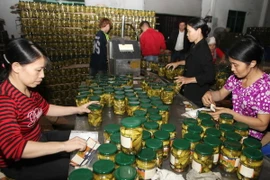 Ứng dụng kỹ thuật trong chế biến, bảo quản nông sản