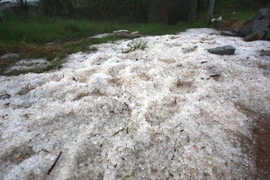 (Ảnh minh họa: Nguyễn Dũng/TTXVN)