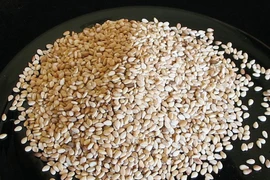 Giá vừng ở Đồng Tháp tăng cao, nông dân phấn khởi