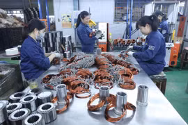Sản xuất máy bơm nước tại Công ty TNHH Bảo Long. (Ảnh: Anh Tuấn/TTXVN)