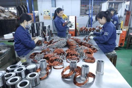 Sản xuất máy bơm nước tại Công ty TNHH Bảo Long. (Ảnh: Anh Tuấn/TTXVN)
