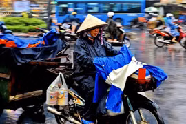 (Ảnh minh họa: Hồng Giang/ TTXVN)